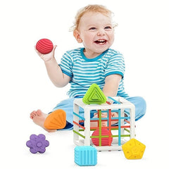 Sensory Sorting Box & 6 Building Blocks Montessori Toy