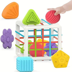 Sensory Sorting Box & 6 Building Blocks Montessori Toy