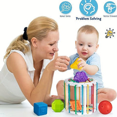 Sensory Sorting Box & 6 Building Blocks Montessori Toy