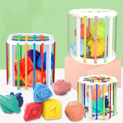 Sensory Sorting Box & 6 Building Blocks Montessori Toy