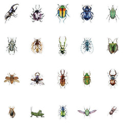 40pcs Bird Insect & Dragonfly Stickers for DIY Projects & Notebook Decor