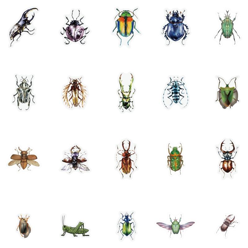 40pcs Bird Insect & Dragonfly Stickers for DIY Projects & Notebook Decor