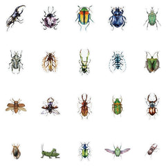40pcs Bird Insect & Dragonfly Stickers for DIY Projects & Notebook Decor