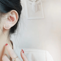 Snowflake Crystal Earrings for Women