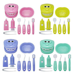Dentist Check Tooth Model Kids Learning Toy Montessori