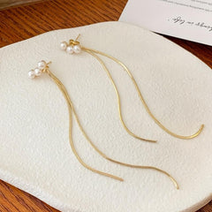 Long Tassel Earrings Ladies - 2 Pieces Jewelry Accessories