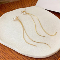 Long Tassel Earrings Ladies - 2 Pieces Jewelry Accessories