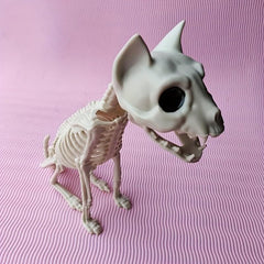 Halloween Horror Skull Skeleton Combat Cat Size 30 7 11