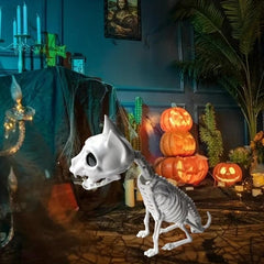 Halloween Horror Skull Skeleton Combat Cat Size 30 7 11
