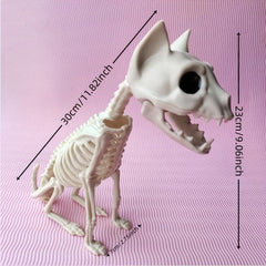 Halloween Horror Skull Skeleton Combat Cat Size 30 7 11