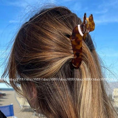 French Acetic Acid Clip Animal Sausage Geometric Hair Clip