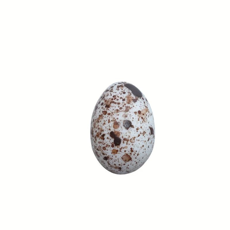 10pcs DIY Resin Egg Duck Quail Micro Food Play Mini Model Toy