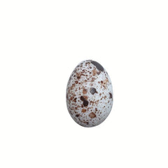 10pcs DIY Resin Egg Duck Quail Micro Food Play Mini Model Toy