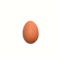 10pcs DIY Resin Egg Duck Quail Micro Food Play Mini Model Toy