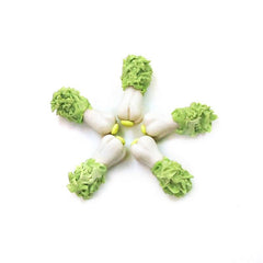 Dollhouse Mini Cabbage Vegetables 5pcs Pack Simulated Life Scenes