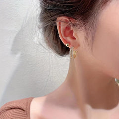 Advanced Leopard Print Fur Ball Earrings