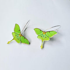 Acrylic Green Butterfly Moth Dangle Earrings Retro Lightweight Creative Gift