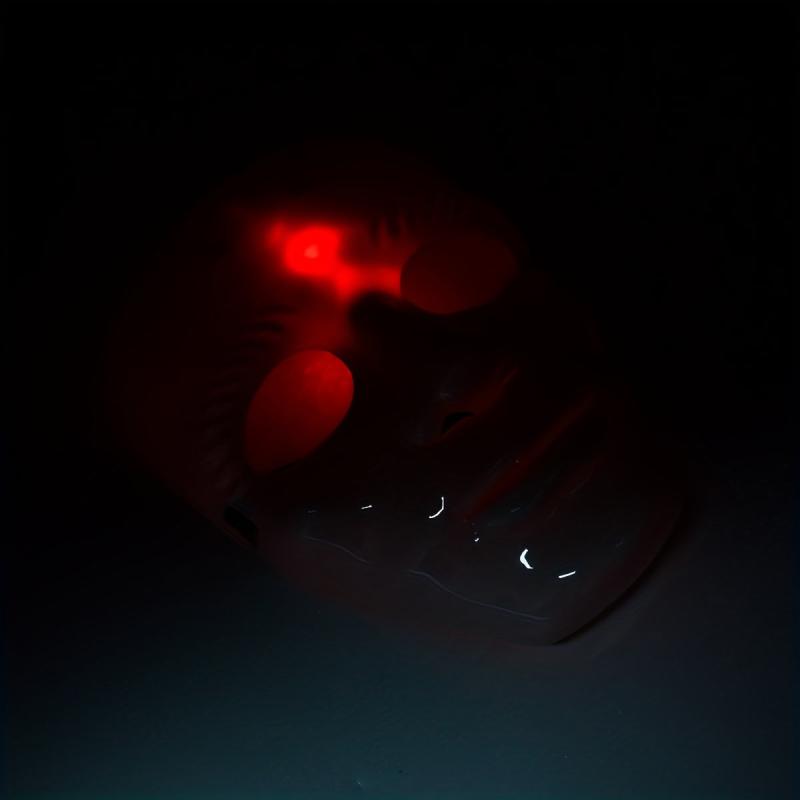 Glowing Mask Halloween Mask - Random Packaging