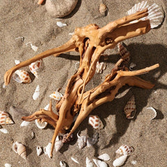 1pc Natural Rhododendron Root Driftwood for Aquarium Decoration