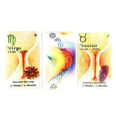 Time Oracle Card Game Set with Instructions