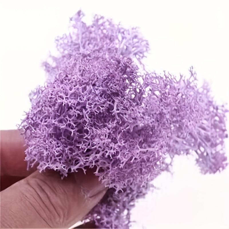 Forest Green Reindeer Moss Lichen 50g 1.76oz for Fairy Tale Garden