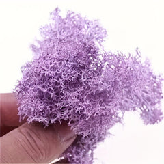 Forest Green Reindeer Moss Lichen 50g 1.76oz for Fairy Tale Garden