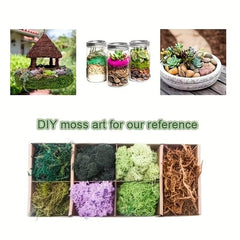 Forest Green Reindeer Moss Lichen 50g 1.76oz for Fairy Tale Garden