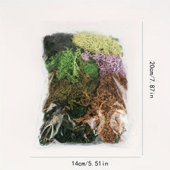 Forest Green Reindeer Moss Lichen 50g 1.76oz for Fairy Tale Garden