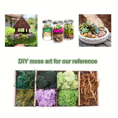 Artificial Forest Green Moss Reindeer Moss Lichen 50g 1.76oz