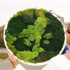 Artificial Forest Green Moss Reindeer Moss Lichen 50g 1.76oz