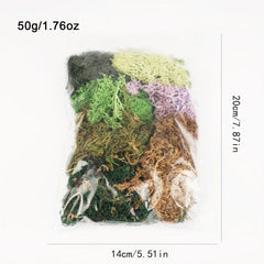 Artificial Forest Green Moss Reindeer Moss Lichen 50g 1.76oz