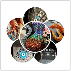 100pcs Doll Eye Beads 50 Pairs in Various Sizes