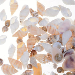 40pcs Mini Conch Shell Beach Hut DIY Accessories
