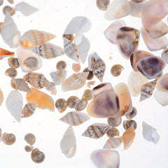 40pcs Mini Conch Shell Beach Hut DIY Accessories