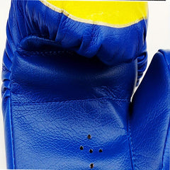 Youth Boxing Gloves for Boys Girls 5-10 Years - Kickboxing Training Sparring