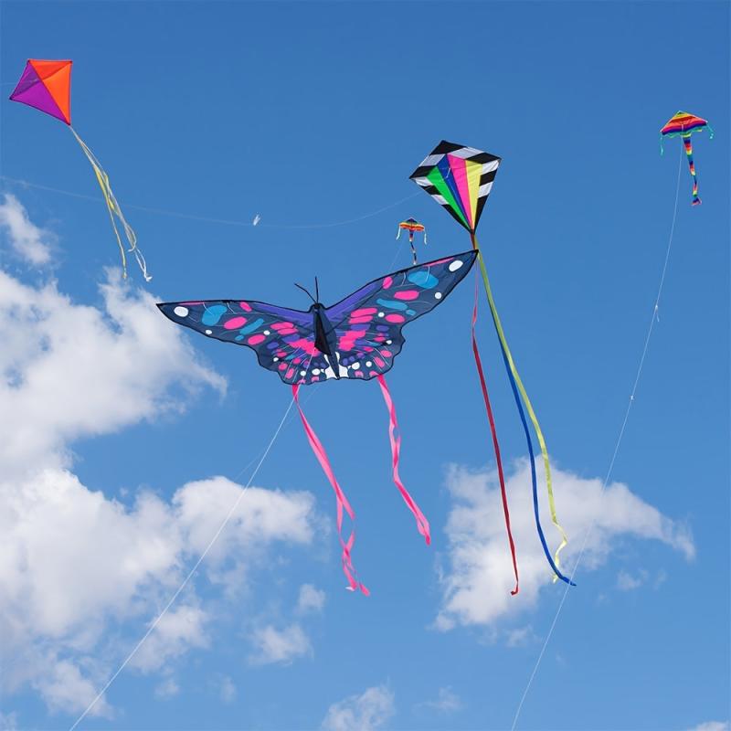 Large Butterfly Kite for Kids and Adults