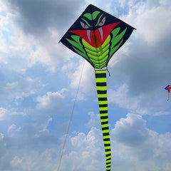 Long Snake Kite Adult Large Long Tail Kite