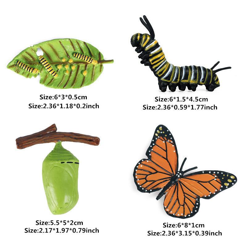 Mini Animal Butterfly Models for Cognitive Growth