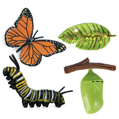 Mini Animal Butterfly Models for Cognitive Growth