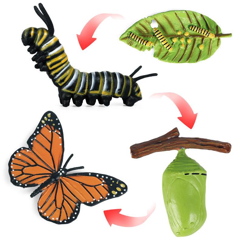 Mini Animal Butterfly Models for Cognitive Growth
