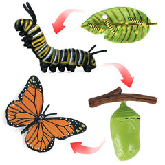 Mini Animal Butterfly Models for Cognitive Growth