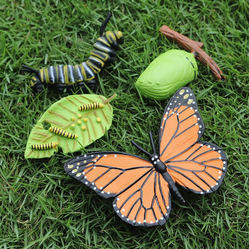 Mini Animal Butterfly Models for Cognitive Growth