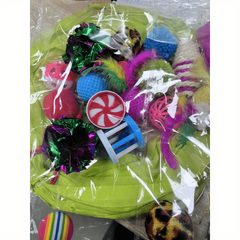 21Pcs Cat Toy Kit Teasing Cat Stick Plush Mouse & More