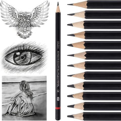 12pcs Graphite Pencils Set for Drawing Sketching Shading