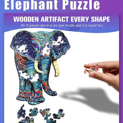 Challenging Special Shape Wooden Puzzle