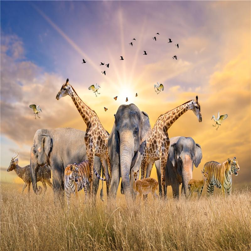 500-Piece Jigsaw Puzzle Games for Meditation & Creativity