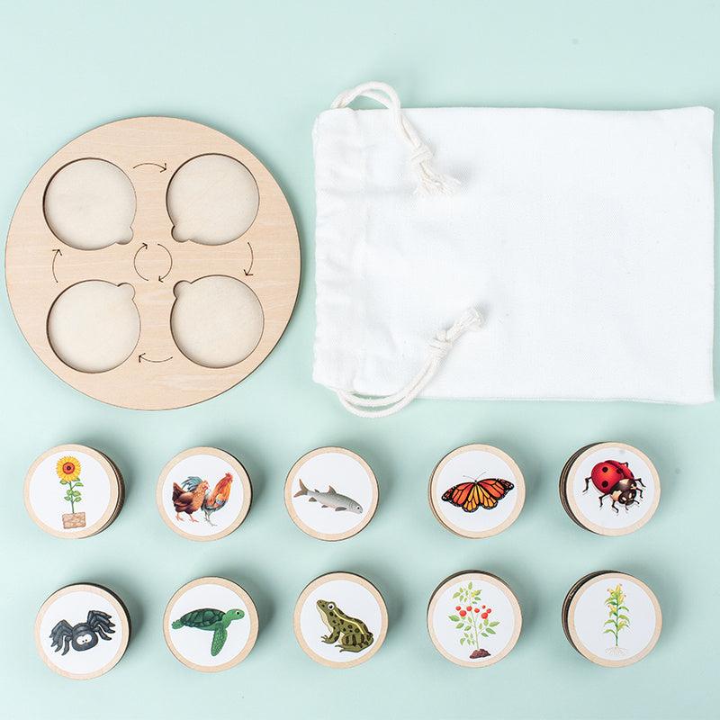 Life Cycle Board Montessori Kit for Kids