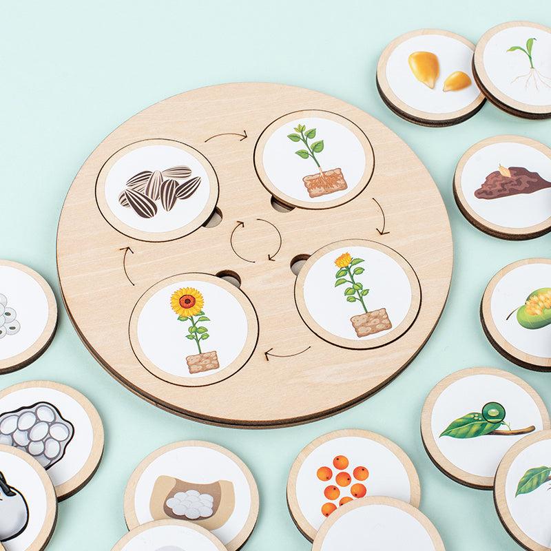 Life Cycle Board Montessori Kit for Kids