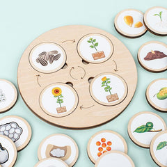Life Cycle Board Montessori Kit for Kids