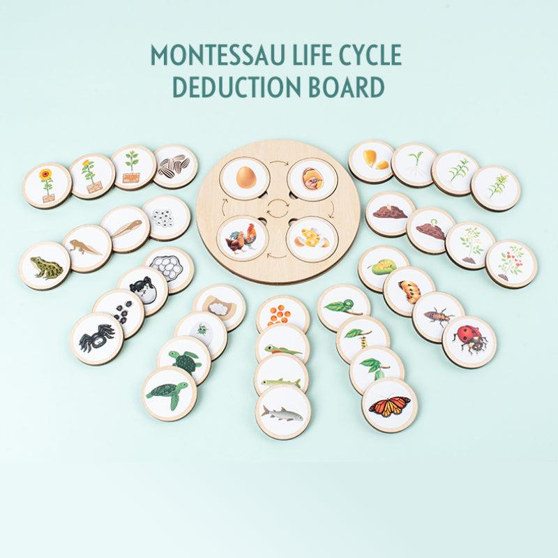 Life Cycle Board Montessori Kit for Kids